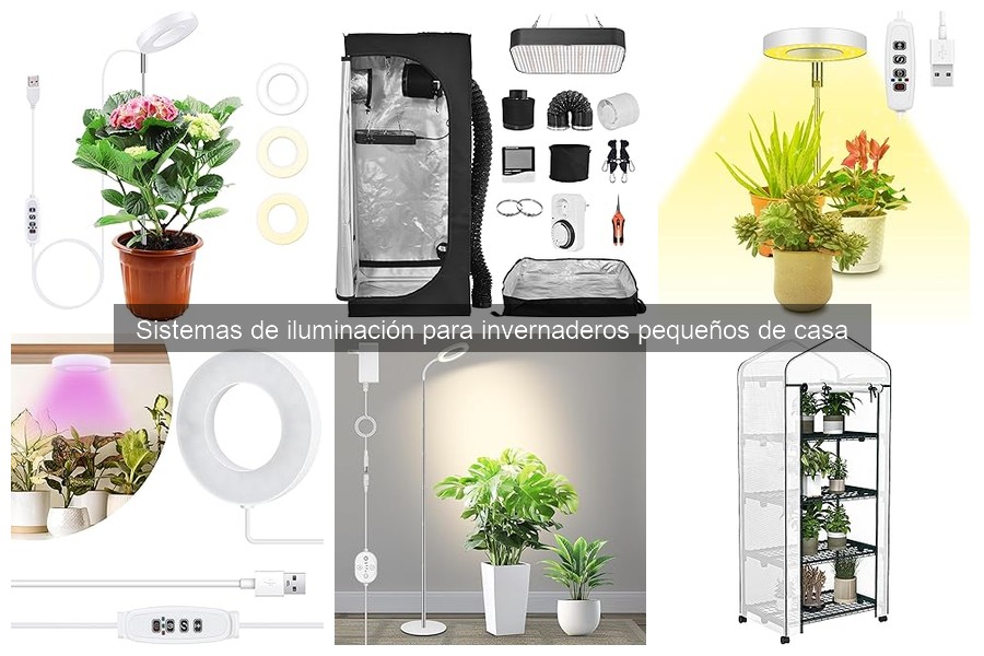 Comparativa: Luces Fluorescentes vs LED para Invernaderos