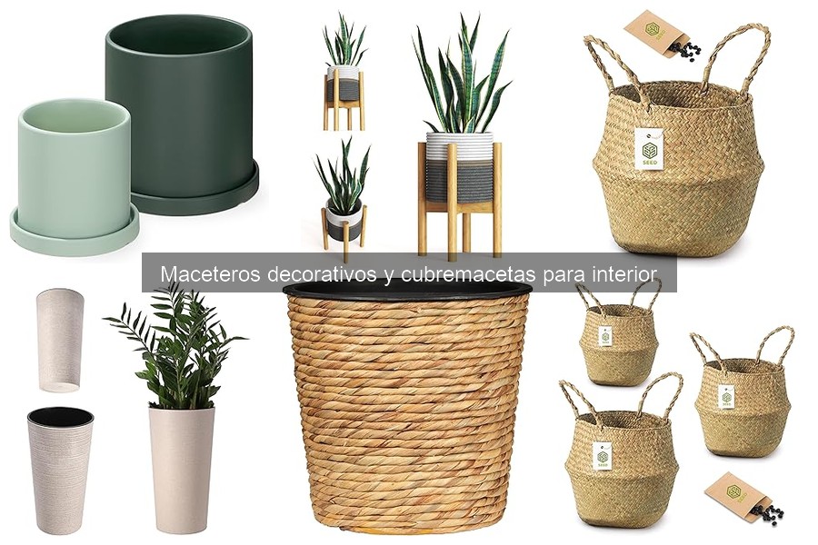 Comparativa: Maceteros de Cerámica vs Plástico