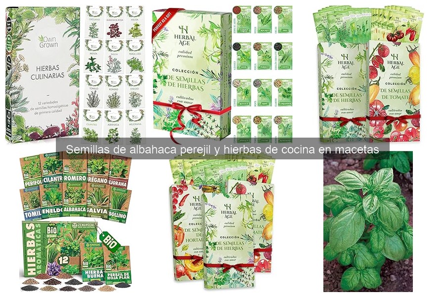 Comparativa: Semillas de Albahaca vs Perejil para Cultivar