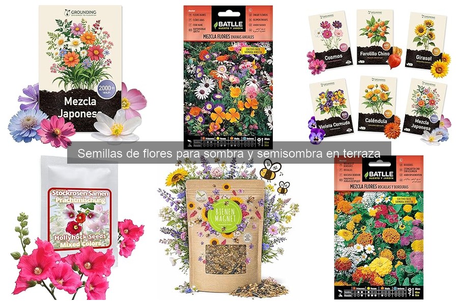 Comparativa: Semillas de flores para sombra y sol
