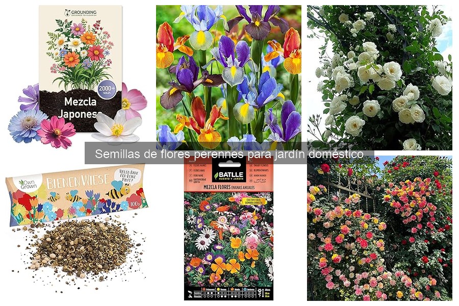 Comparativa: Semillas de Flores Perennes vs. Anuales
