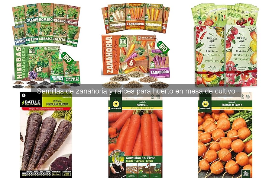 Comparativa: Semillas de zanahoria orgánicas vs. convencionales