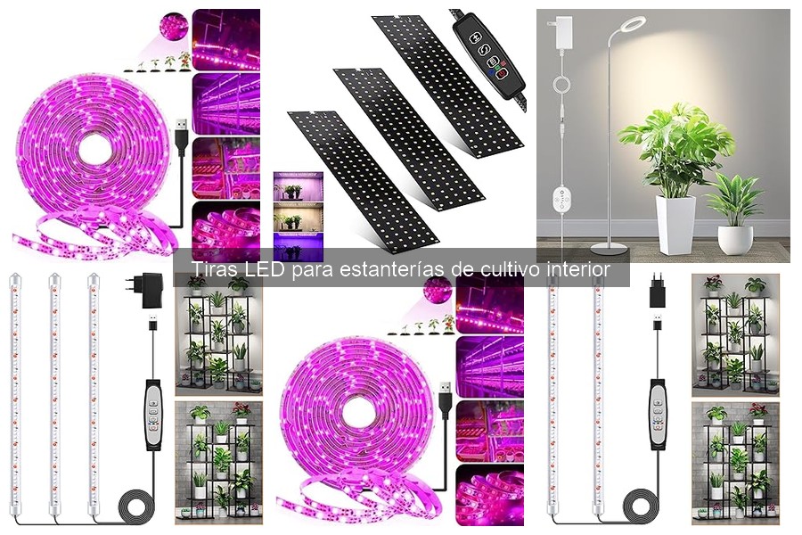 Comparativa: Tiras LED vs Luces de Cultivo Tradicionales