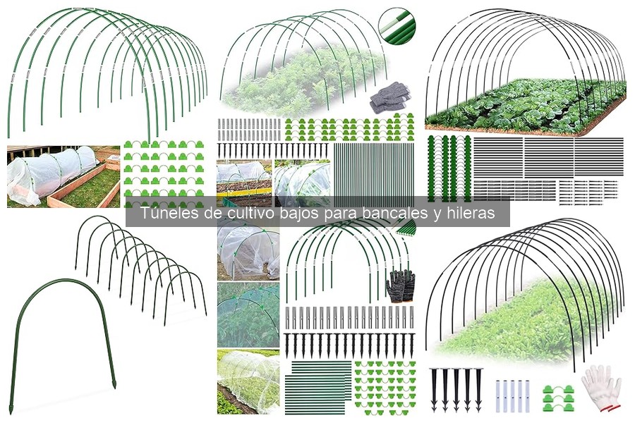 Comparativa: Túneles de Cultivo Bajos vs. Invernaderos