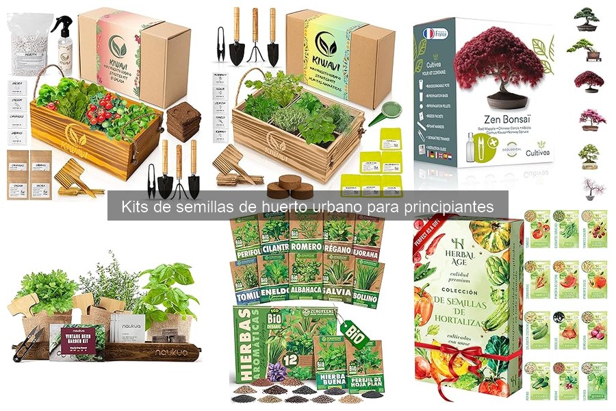 Compra los Mejores Kits de Semillas de Huerto Urbano