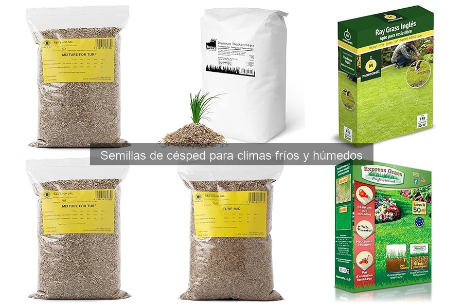 Compra semillas de césped para climas fríos online