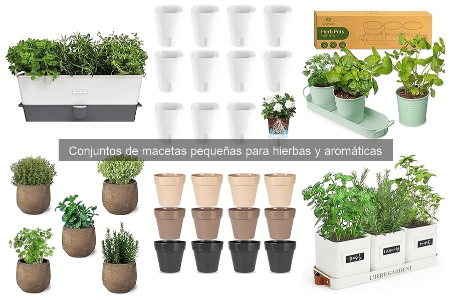 Conjuntos de macetas pequeñas para hierbas y aromáticas