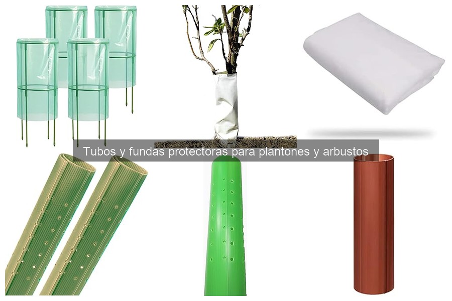 Consecuencias de no usar fundas protectoras en plantones