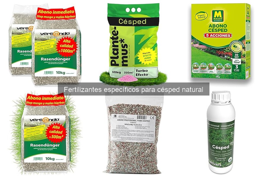 Consejos de Fertilización del Césped en Cada Estación