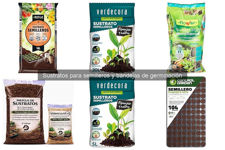 ** Consejos para el Mantenimiento de Sustratos para Semilleros