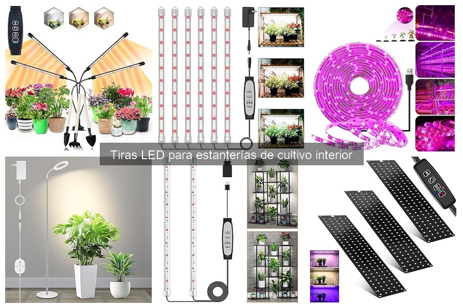 Consejos para el Mantenimiento de Tiras LED en Cultivos Interiores