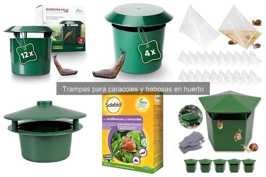 Consejos para Mantener Trampas de Caracoles y Babosas