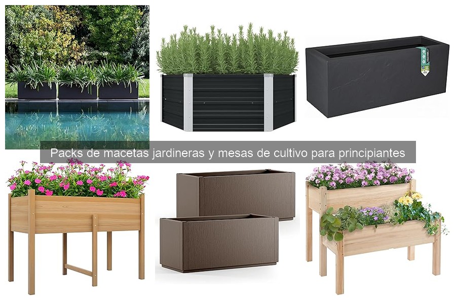 Consejos para plantar en macetas jardineras correctamente