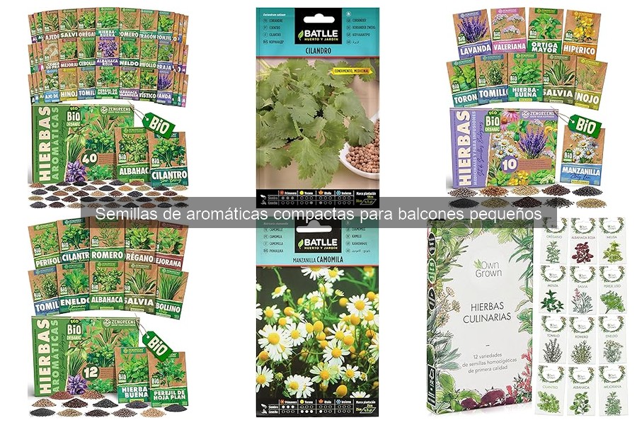 Consejos para sembrar semillas de aromáticas en macetas