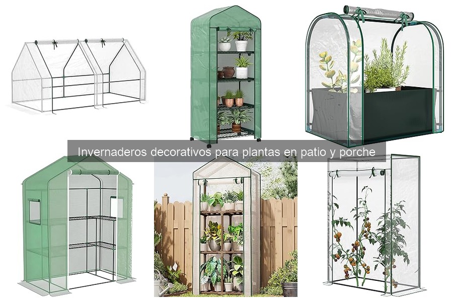 Consideraciones climáticas para invernaderos decorativos