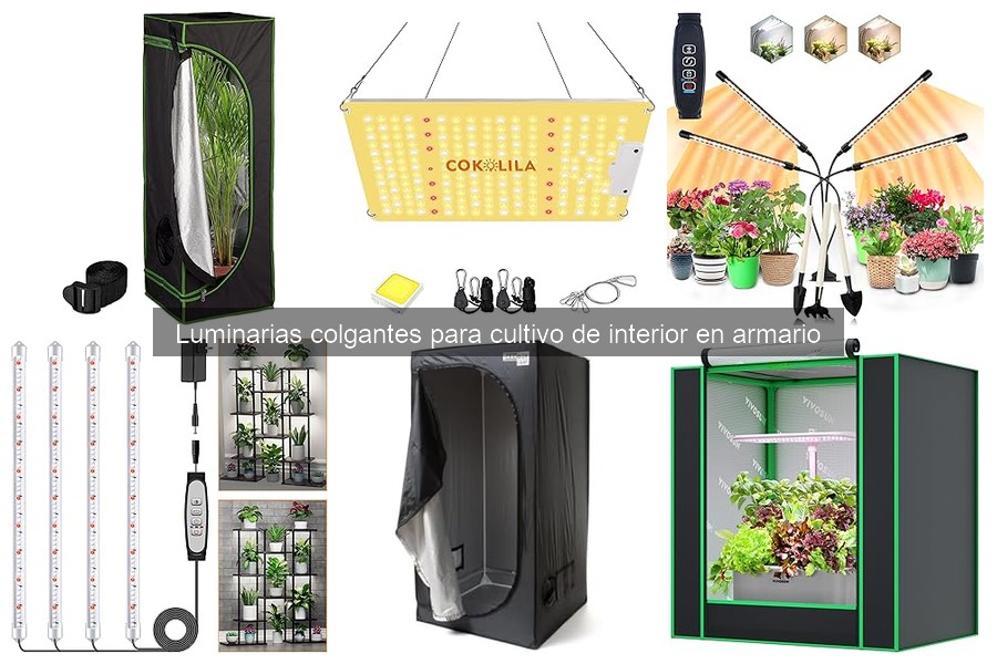 Costo promedio de luminarias colgantes para cultivo en Amazon