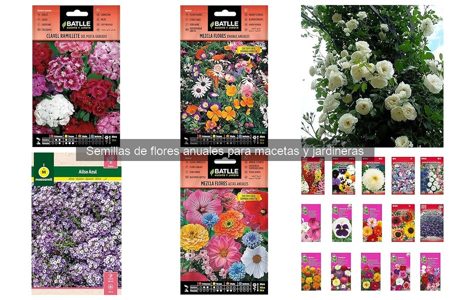 Costos de Cultivar Flores Anuales en Macetas