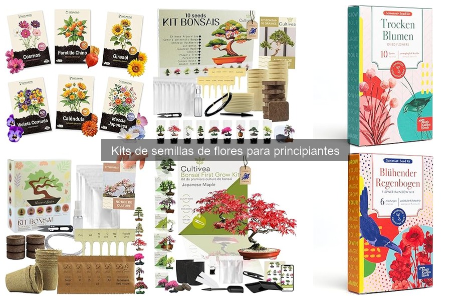 Costos de Kits de Semillas de Flores para Principiantes