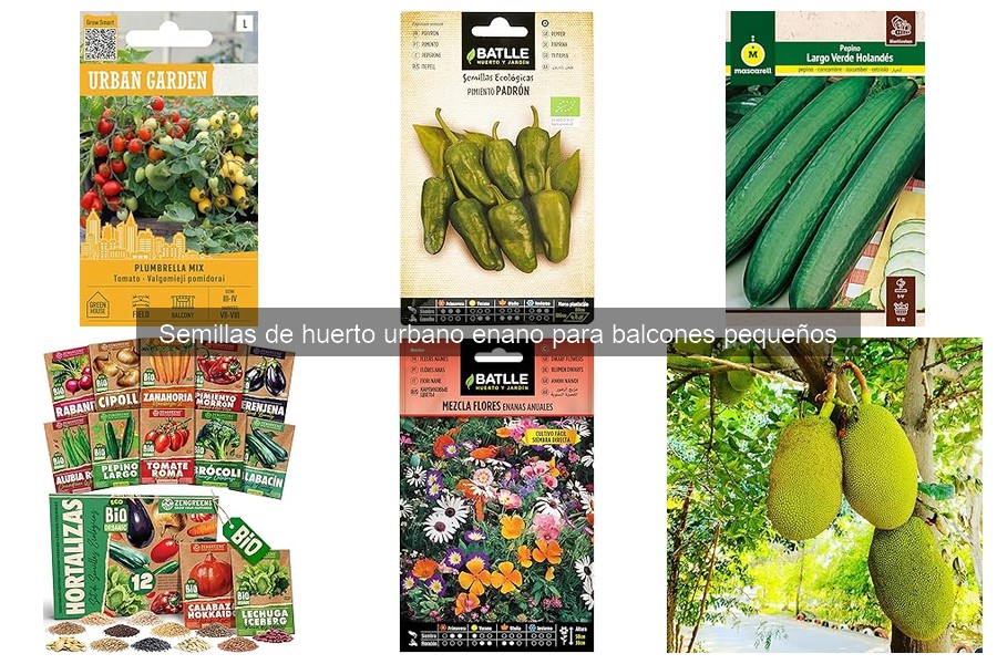 Crecimiento Rápido de Semillas en Balcones Pequeños