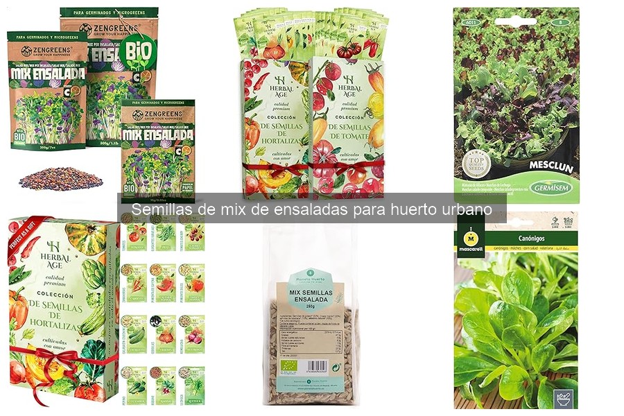 Cuándo sembrar mix de ensaladas en huerto urbano