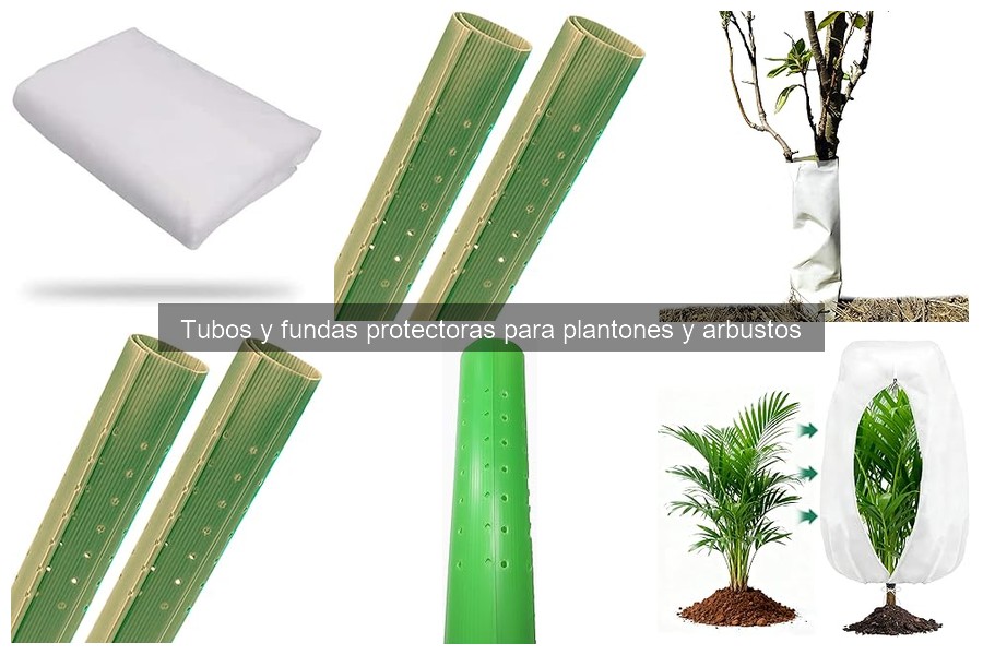 ¿Cuándo usar fundas protectoras en plantas? Mejores momentos