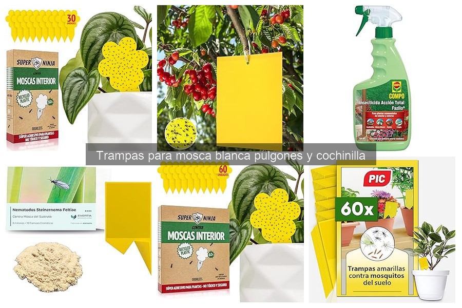 ¿Cuándo usar trampas para insectos en el jardín?