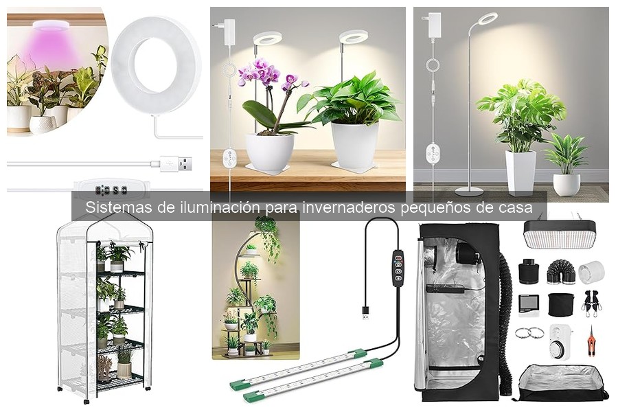 ¿Cuánta luz necesita un invernadero pequeño en casa?