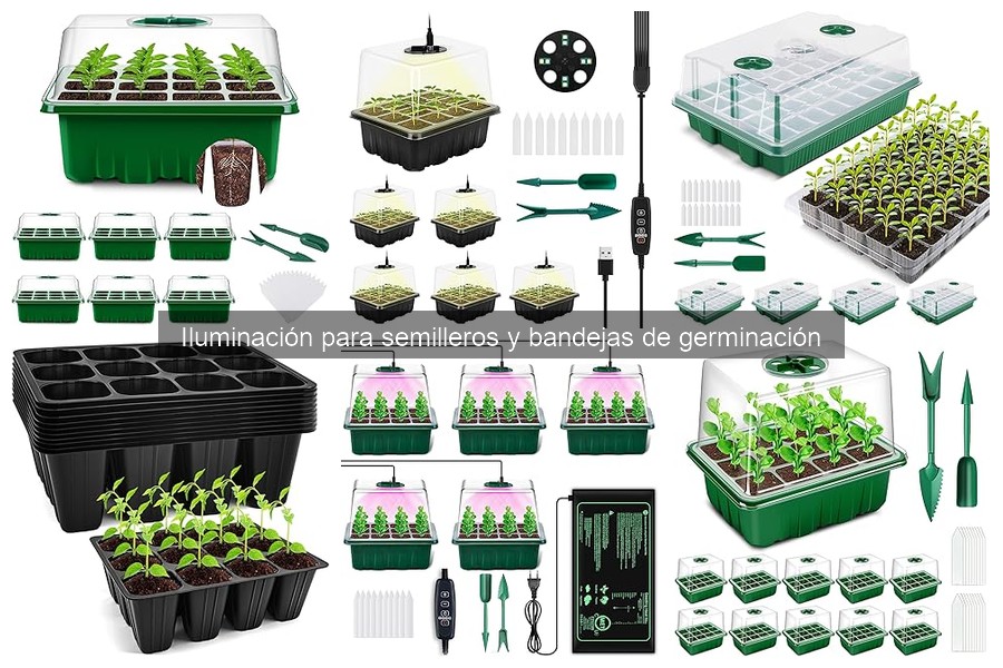 ¿Cuántas horas de luz necesitan los semilleros al día?