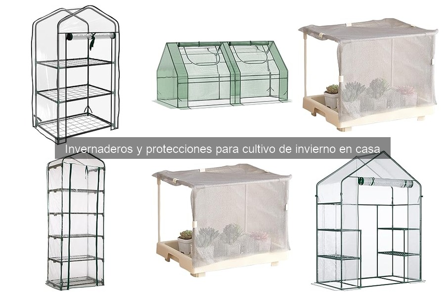 ¿Cuánto cuesta un invernadero? Tiendas y precios mejores
