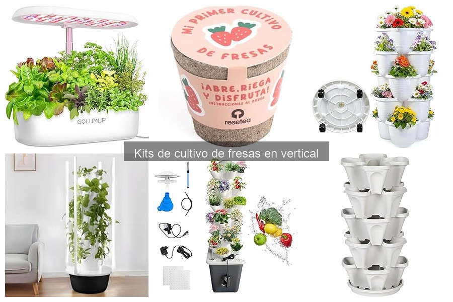 ¿Cuánto cuesta un kit de cultivo de fresas en vertical?