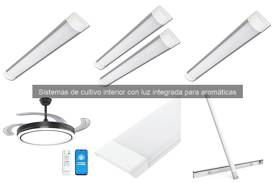 ¿Cuánto cuesta un sistema de cultivo interior con luz integrada?