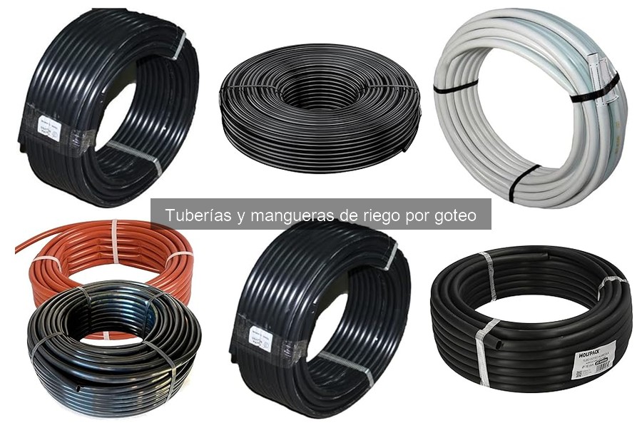 ¿Cuánto cuesta un sistema de riego por goteo?