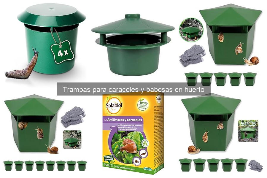 ¿Cuánto cuestan las trampas para caracoles y babosas?