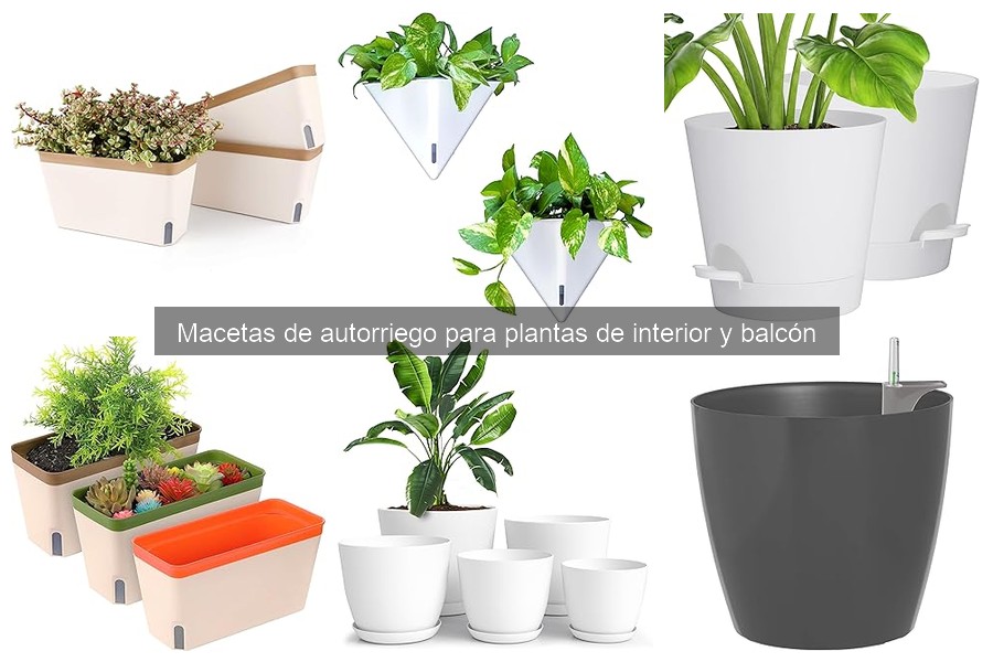 ¿Cuánto riego necesitan las plantas en macetas de autorriego?