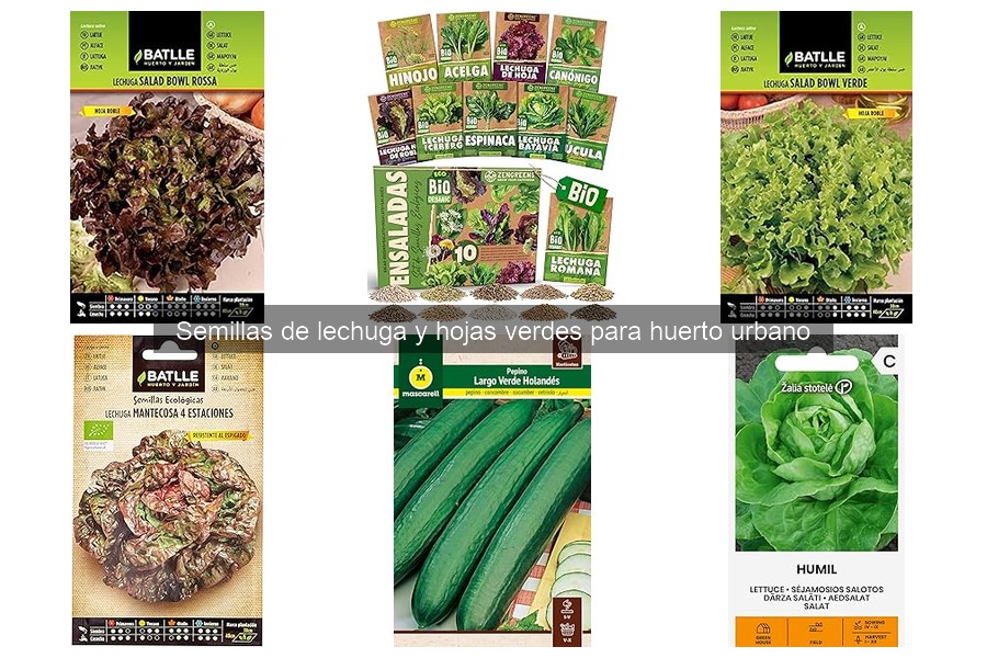 ¿Cuánto Tardan en Germinar las Semillas de Lechuga?