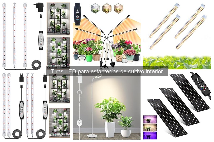 ¿Cuánto tiempo encender tiras LED para cultivos interiores?