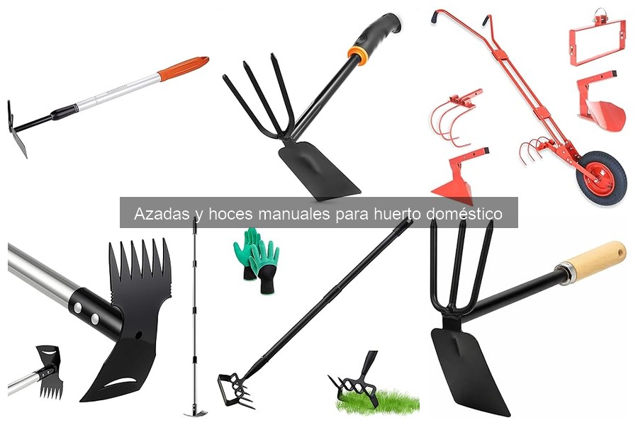 Cuidado del suelo: Uso de azadas y hoces en tu huerto