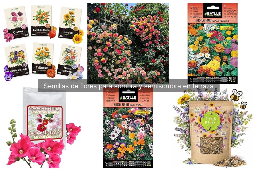 ** Cuidados de Flores de Sombra en Invierno: Guía Esencial
