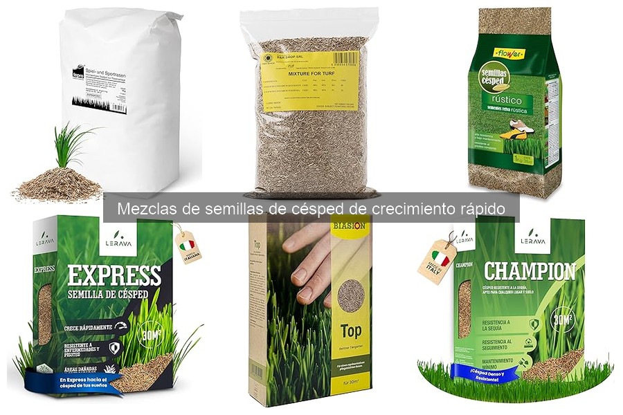 Cuidados de mezclas de semillas de césped en invierno