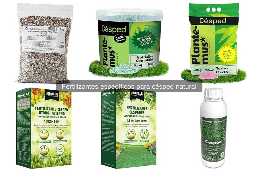 Cuidados del Césped Tras la Fertilización: Riego y Corte