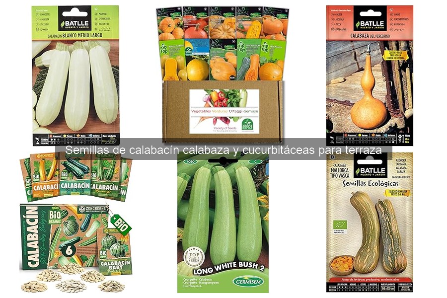 Cuidados Esenciales para Calabacín y Calabaza en Terraza