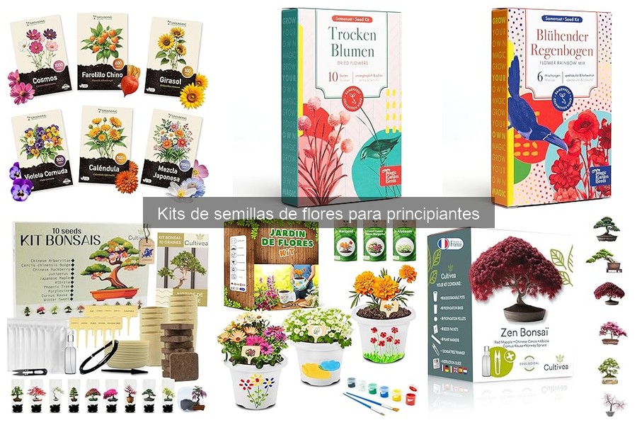 Cuidados Esenciales para Flores de Tu Kit de Semillas