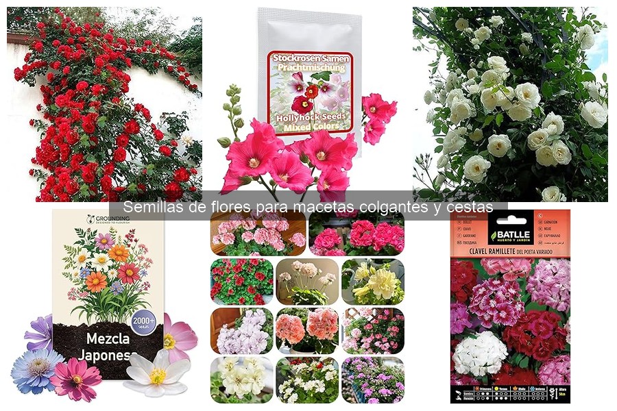 Cuidados Esenciales para Flores en Macetas Colgantes