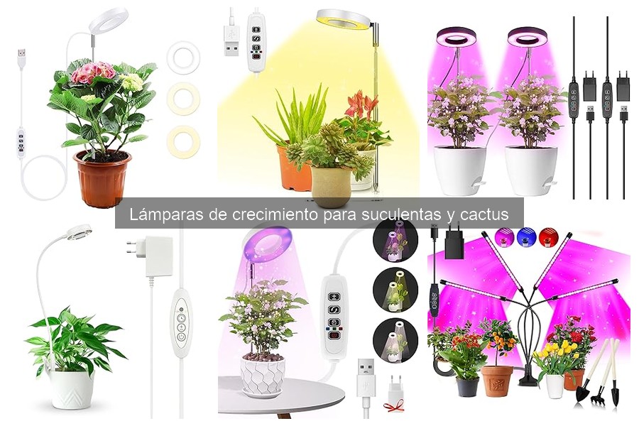 Cuidados esenciales para lámparas de crecimiento en suculentas