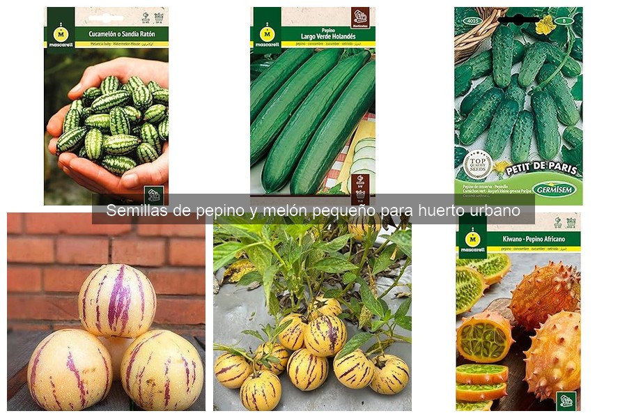 Cuidados Esenciales para Pepino y Melón Pequeño en Huertos