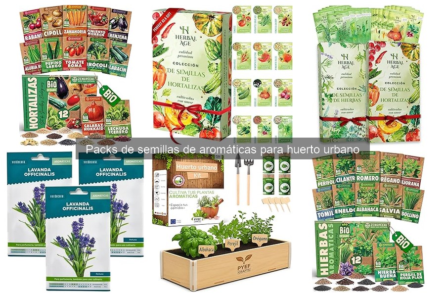 Cuidados Esenciales para Semillas de Aromáticas Orgánicas