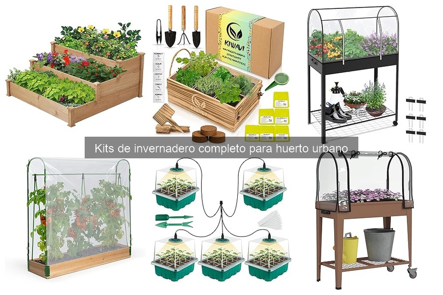 Cuidados Esenciales para tu Invernadero Urbano