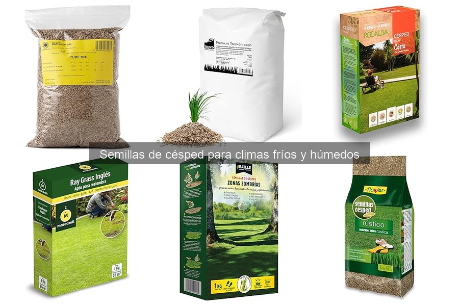 Cuidados Específicos para Césped en Climas Fríos y Húmedos