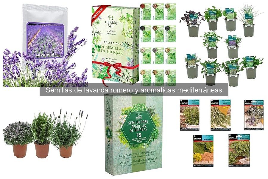 Cuidados para Semillas de Hierbas Mediterráneas en Climas Fríos
