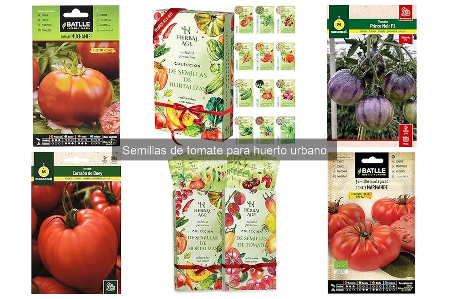 Cuidados para Semillas de Tomate en Interiores